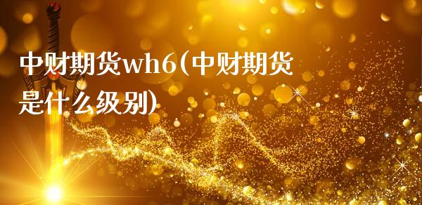 中财期货wh6(中财期货是什么级别)_https://www.zztgc.com_黄金期货_第1张