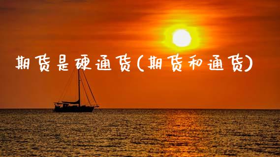 期货是硬通货(期货和通货)_https://www.zztgc.com_期货直播_第1张