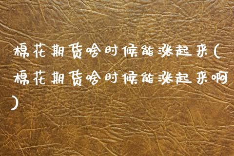 棉花期货啥时候能涨起来(棉花期货啥时候能涨起来啊)_https://www.zztgc.com_期货入门_第1张