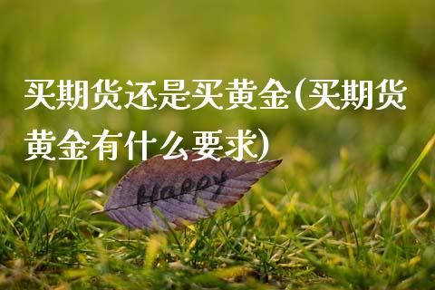 买期货还是买黄金(买期货黄金有什么要求)_https://www.zztgc.com_原油期货_第1张