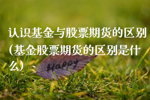 认识基金与股票期货的区别(基金股票期货的区别是什么)_https://www.zztgc.com_黄金期货_第1张