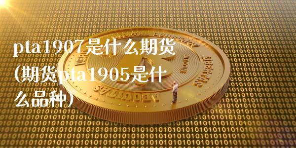 pta1907是什么期货(期货pta1905是什么品种)_https://www.zztgc.com_期货入门_第1张
