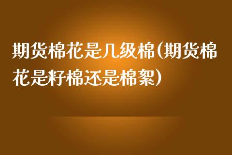 期货棉花是几级棉(期货棉花是籽棉还是棉絮)_https://www.zztgc.com_期货行情_第1张