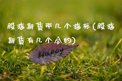 股指期货那几个指标(股指期货有几个合约)_https://www.zztgc.com_期货直播_第1张