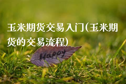 玉米期货交易入门(玉米期货的交易流程)_https://www.zztgc.com_黄金期货_第1张