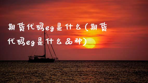 期货代码eg是什么(期货代码eg是什么品种)_https://www.zztgc.com_期货开户_第1张