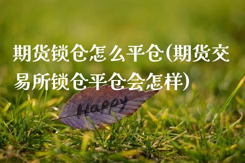 期货锁仓怎么平仓(期货交易所锁仓平仓会怎样)_https://www.zztgc.com_黄金期货_第1张