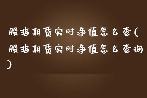 股指期货实时净值怎么查(股指期货实时净值怎么查询)_https://www.zztgc.com_期货直播_第1张