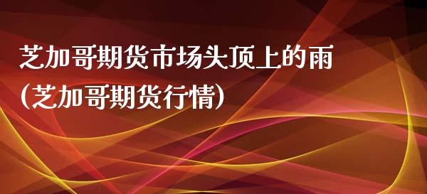芝加哥期货市场头顶上的雨(芝加哥期货行情)_https://www.zztgc.com_原油期货_第1张