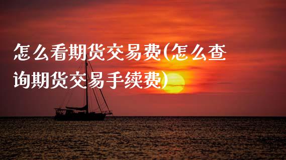怎么看期货交易费(怎么查询期货交易手续费)_https://www.zztgc.com_期货入门_第1张