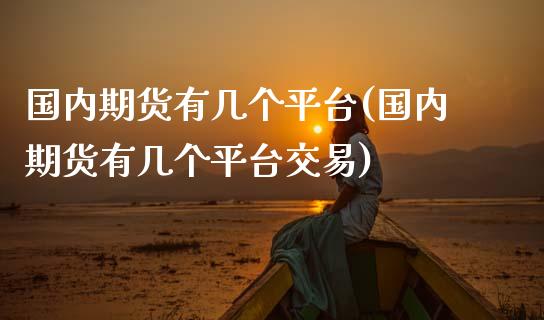 国内期货有几个平台(国内期货有几个平台交易)_https://www.zztgc.com_原油期货_第1张