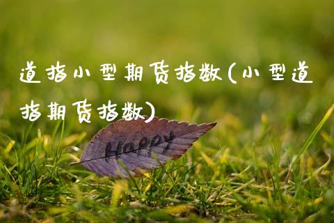 道指小型期货指数(小型道指期货指数)_https://www.zztgc.com_期货行情_第1张