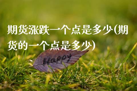 期货涨跌一个点是多少(期货的一个点是多少)_https://www.zztgc.com_期货行情_第1张