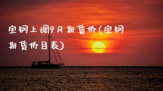 宝钢上调9月期货价(宝钢期货价目表)_https://www.zztgc.com_原油期货_第1张