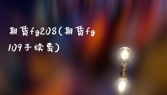 期货fg208(期货fg109手续费)_https://www.zztgc.com_期货入门_第1张