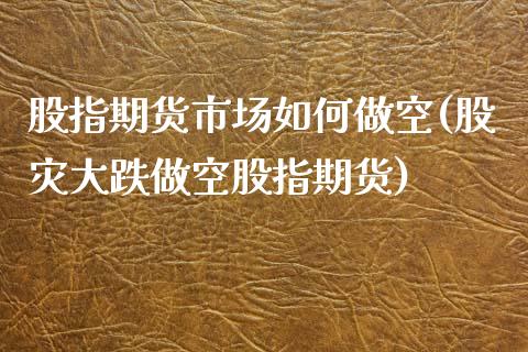 股指期货市场如何做空(股灾大跌做空股指期货)_https://www.zztgc.com_期货行情_第1张