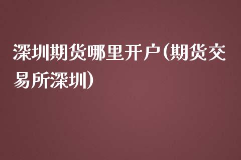 深圳期货哪里开户(期货交易所深圳)_https://www.zztgc.com_期货行情_第1张