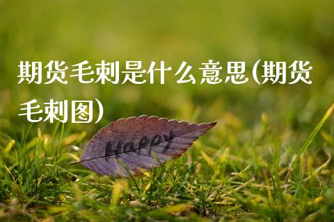 期货毛刺是什么意思(期货毛刺图)_https://www.zztgc.com_期货入门_第1张