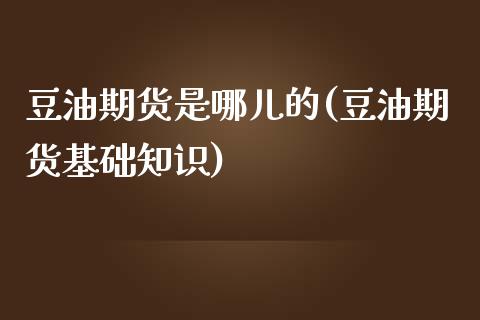 豆油期货是哪儿的(豆油期货基础知识)_https://www.zztgc.com_期货直播_第1张
