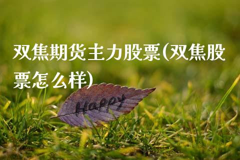 双焦期货主力股票(双焦股票怎么样)_https://www.zztgc.com_期货行情_第1张