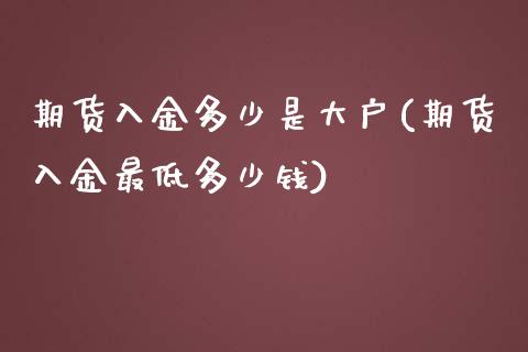 期货入金多少是大户(期货入金最低多少钱)_https://www.zztgc.com_期货入门_第1张