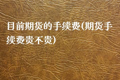 目前期货的手续费(期货手续费贵不贵)_https://www.zztgc.com_期货直播_第1张