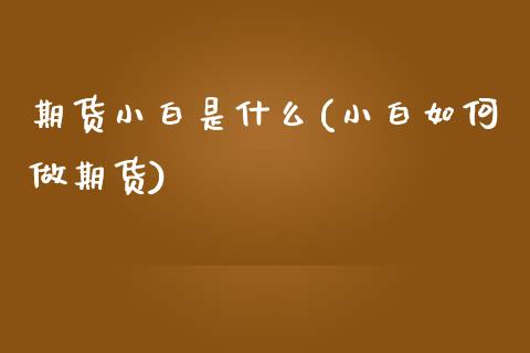 期货小白是什么(小白如何做期货)_https://www.zztgc.com_期货直播_第1张