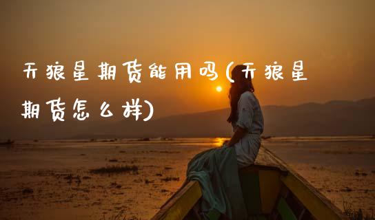 天狼星期货能用吗(天狼星期货怎么样)_https://www.zztgc.com_黄金期货_第1张