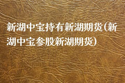 新湖中宝持有新湖期货(新湖中宝参股新湖期货)_https://www.zztgc.com_原油期货_第1张