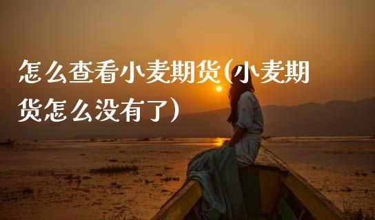 怎么查看小麦期货(小麦期货怎么没有了)_https://www.zztgc.com_期货入门_第1张