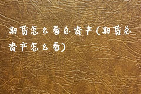 期货怎么看总资产(期货总资产怎么看)_https://www.zztgc.com_期货直播_第1张