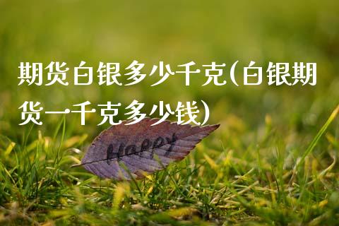 期货白银多少千克(白银期货一千克多少钱)_https://www.zztgc.com_期货入门_第1张