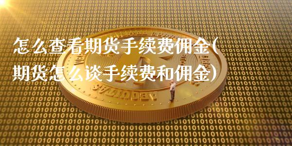 怎么查看期货手续费佣金(期货怎么谈手续费和佣金)_https://www.zztgc.com_黄金期货_第1张
