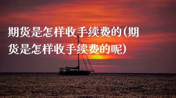 期货是怎样收手续费的(期货是怎样收手续费的呢)_https://www.zztgc.com_黄金期货_第1张