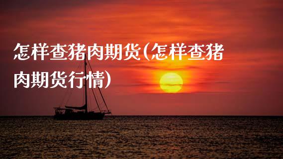 怎样查猪肉期货(怎样查猪肉期货行情)_https://www.zztgc.com_黄金期货_第1张