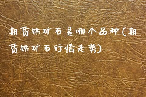 期货铁矿石是哪个品种(期货铁矿石行情走势)_https://www.zztgc.com_期货行情_第1张
