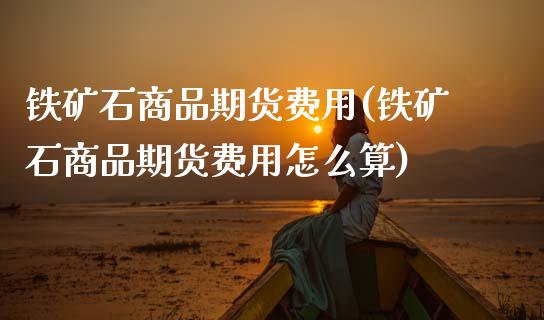 铁矿石商品期货费用(铁矿石商品期货费用怎么算)_https://www.zztgc.com_期货直播_第1张