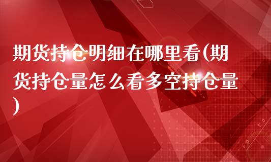 期货持仓明细在哪里看(期货持仓量怎么看多空持仓量)_https://www.zztgc.com_期货入门_第1张