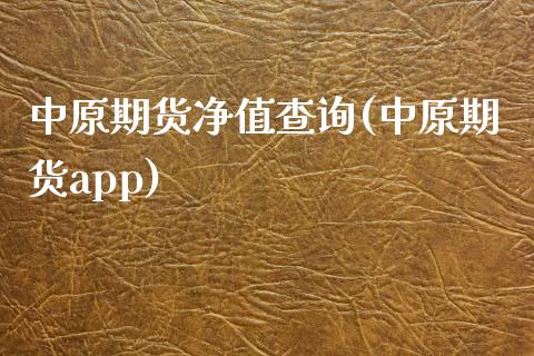 中原期货净值查询(中原期货app)_https://www.zztgc.com_期货行情_第1张