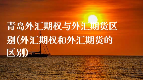 青岛外汇期权与外汇期货区别(外汇期权和外汇期货的区别)_https://www.zztgc.com_期货行情_第1张
