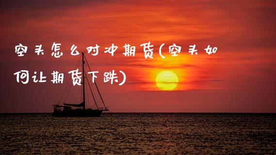 空头怎么对冲期货(空头如何让期货下跌)_https://www.zztgc.com_期货入门_第1张