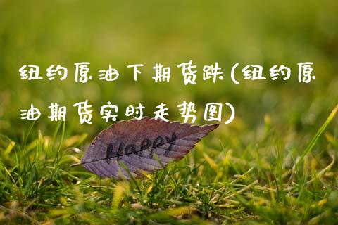 纽约原油下期货跌(纽约原油期货实时走势图)_https://www.zztgc.com_原油期货_第1张