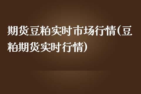 期货豆粕实时市场行情(豆粕期货实时行情)_https://www.zztgc.com_原油期货_第1张