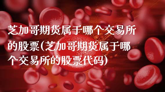 芝加哥期货属于哪个交易所的股票(芝加哥期货属于哪个交易所的股票代码)_https://www.zztgc.com_原油期货_第1张