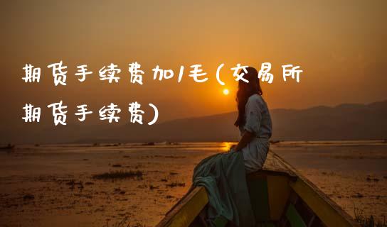 期货手续费加1毛(交易所期货手续费)_https://www.zztgc.com_黄金期货_第1张