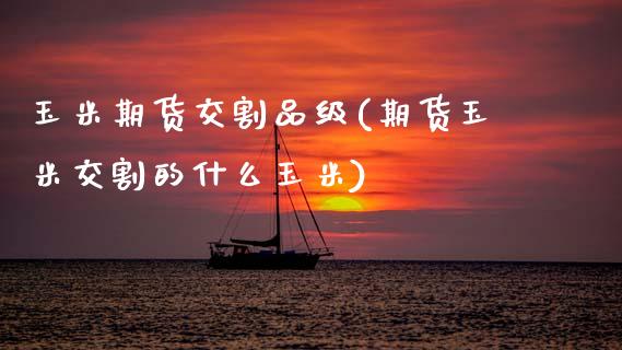 玉米期货交割品级(期货玉米交割的什么玉米)_https://www.zztgc.com_期货开户_第1张