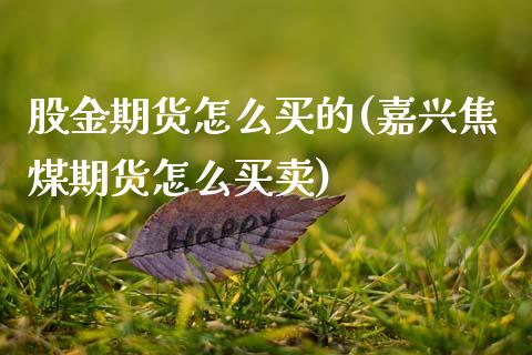 股金期货怎么买的(嘉兴焦煤期货怎么买卖)_https://www.zztgc.com_黄金期货_第1张