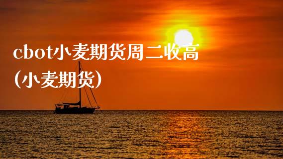 cbot小麦期货周二收高(小麦期货)_https://www.zztgc.com_期货直播_第1张