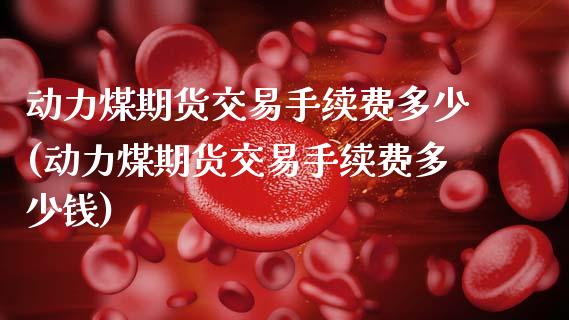 动力煤期货交易手续费多少(动力煤期货交易手续费多少钱)_https://www.zztgc.com_黄金期货_第1张