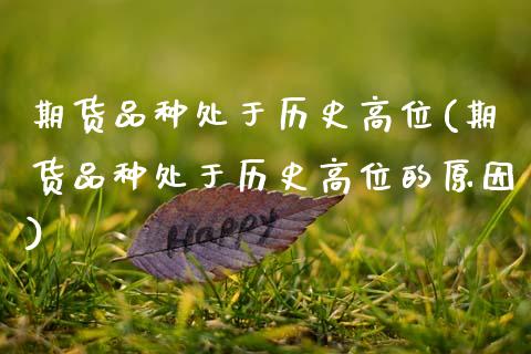 期货品种处于历史高位(期货品种处于历史高位的原因)_https://www.zztgc.com_期货行情_第1张